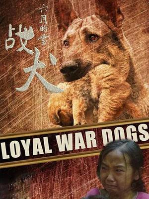 六月的雪之战犬