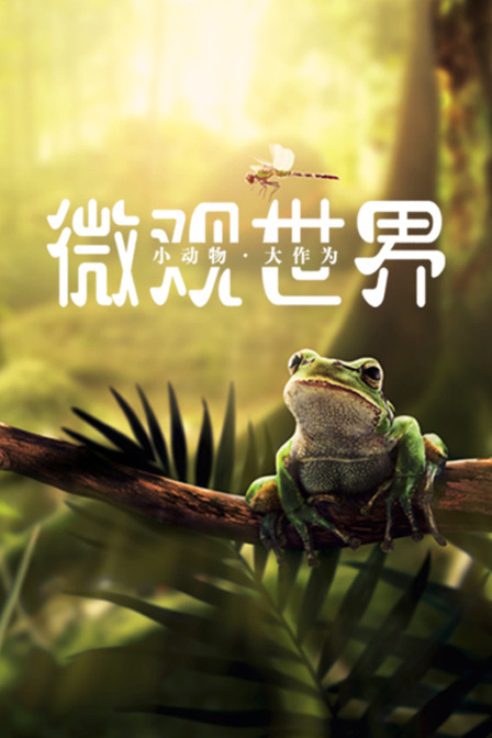 微观世界 小动物 大作为