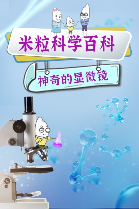 米粒科学百科