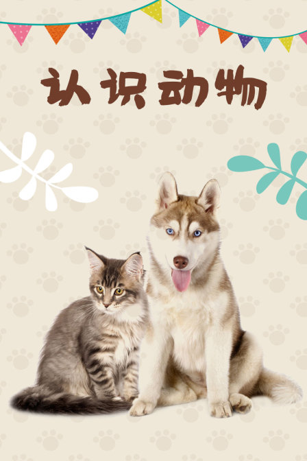 认识动物