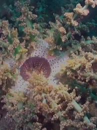 鬼斧神工的大自然精彩内容