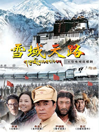 雪域天路DVD版
