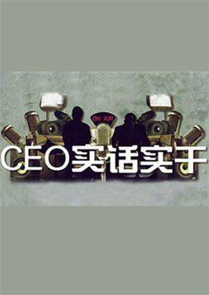 CEO实话实干 2011