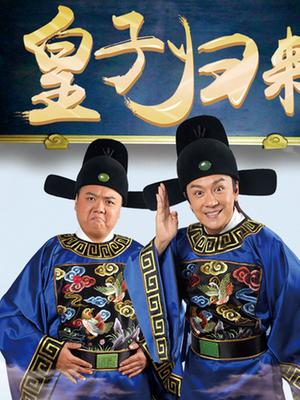 皇子归来之欢喜县令DVD版