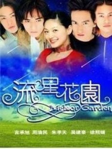 流星花园01版