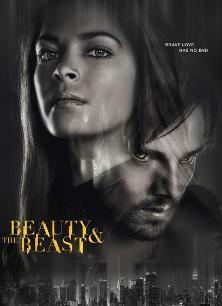 侠胆雄狮第四季