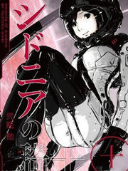 希德尼娅的骑士第一季