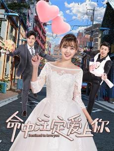 命中注定爱上你