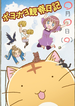 嘟嘟猫观察日记