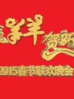 2015广东珠江春晚