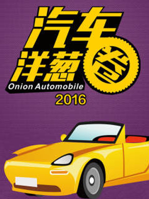 汽车洋葱圈2016