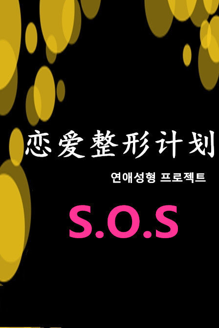 恋爱整形计划 2012