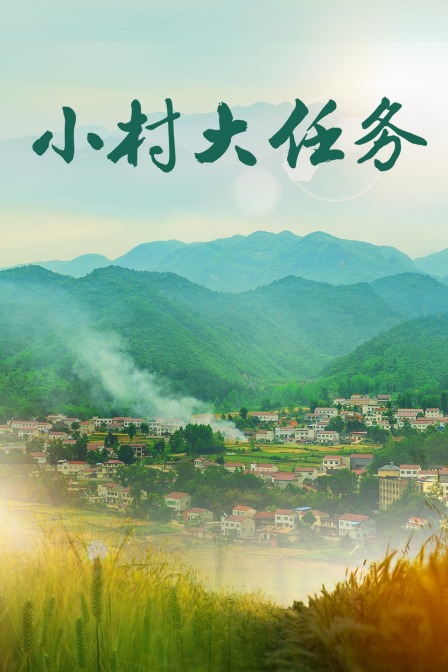 小村大任务