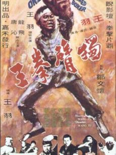 独臂拳王(1972年)