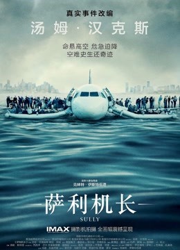 萨利机长（普通话）