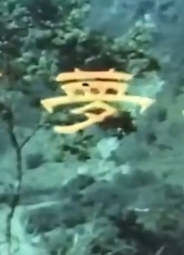 春梦了无痕（1968）