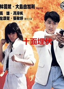 十面埋伏（1989）