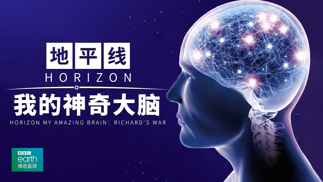 地平线：我的神奇大脑