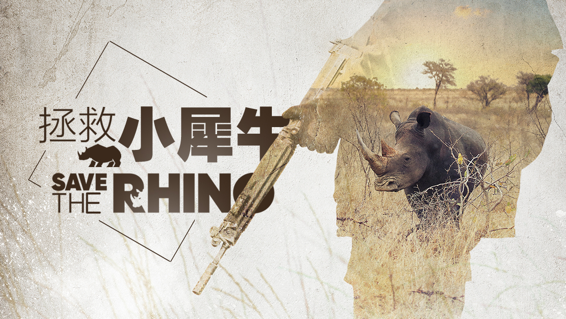 拯救小犀牛