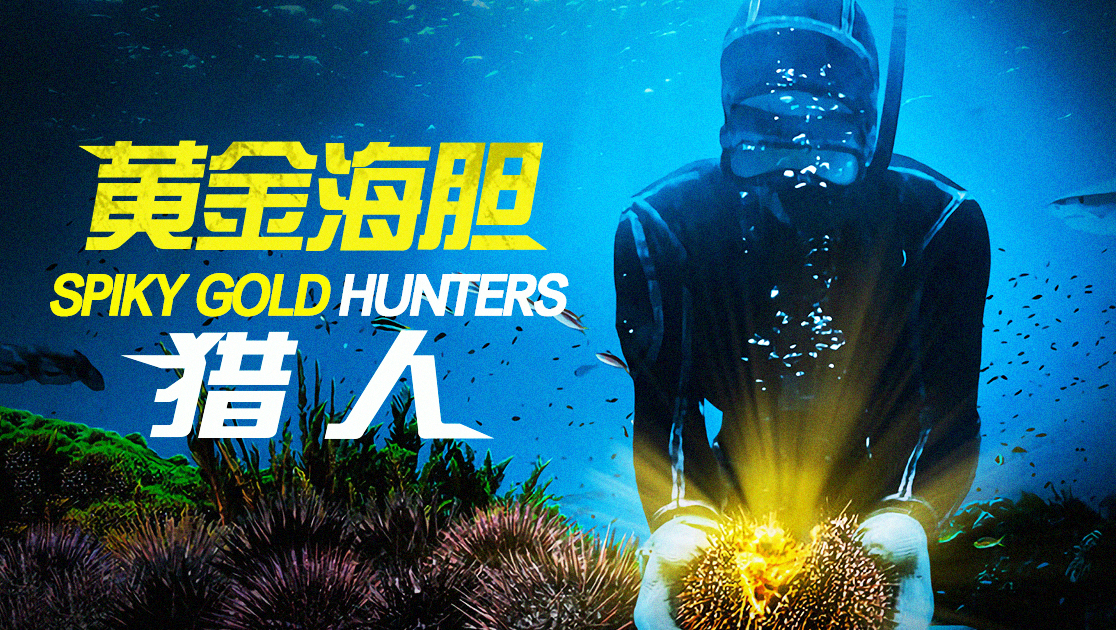 黄金海胆猎人