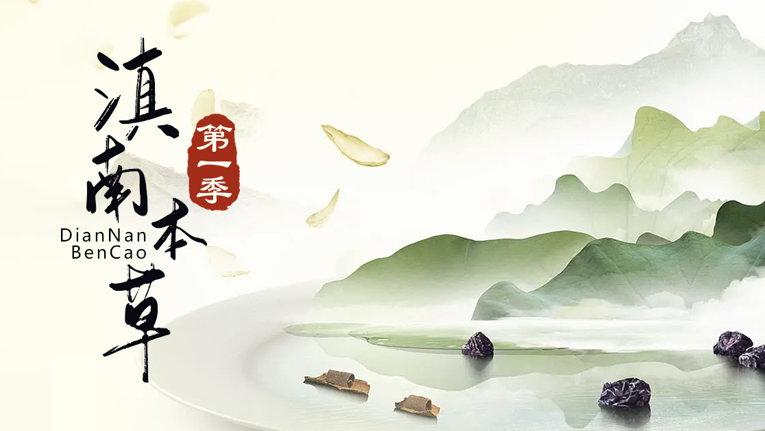 滇南本草第一季